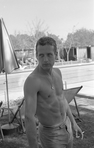 Photo:  Paul Newman 04